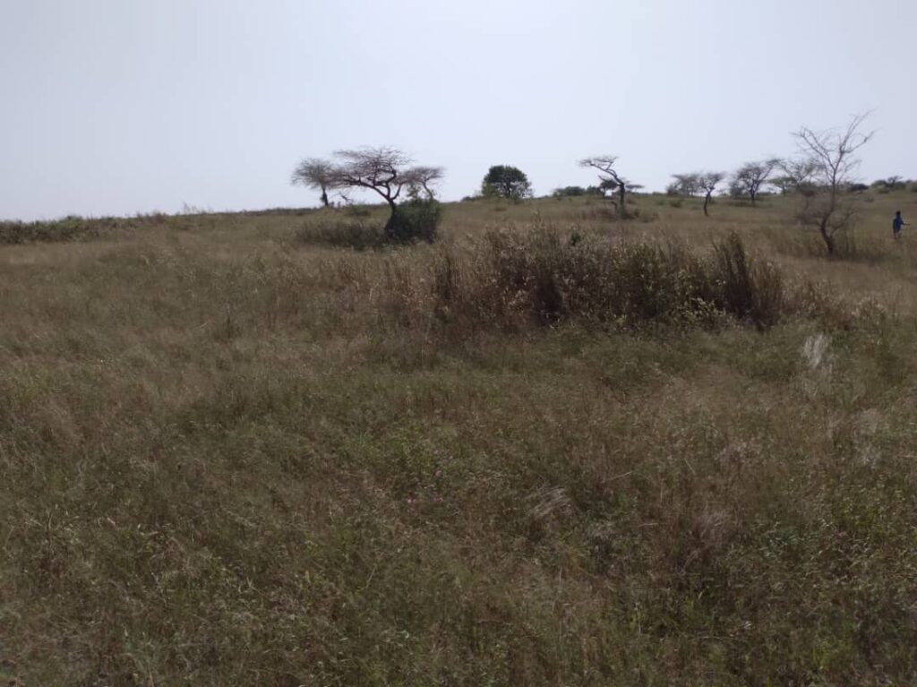 Verger de 3,55 hectares vers Darou Khoudoss – Tivaouane