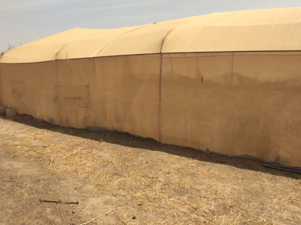 Verger de 9 hectares vers Sindia – Mbour