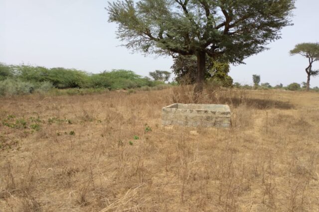 Verger de 1,97 hectare vers Tataguine – Fatick