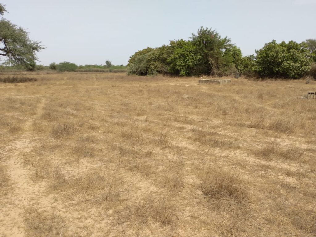 Verger de 1,97 hectare vers Tataguine – Fatick