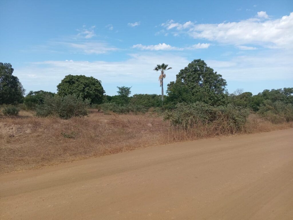 Verger de 3 hectares vers Fandéne – Thiès