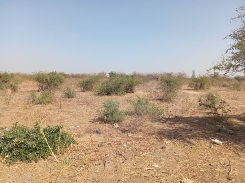 Terrain agricole de 1,30 Hectare vers Pout – Thiès