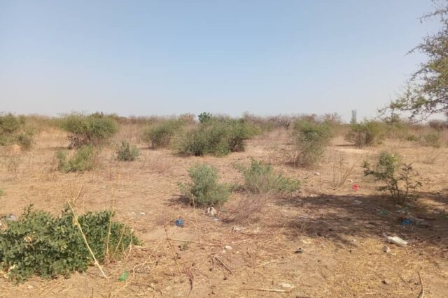 Terrain agricole de 1,30 Hectare vers Pout – Thiès