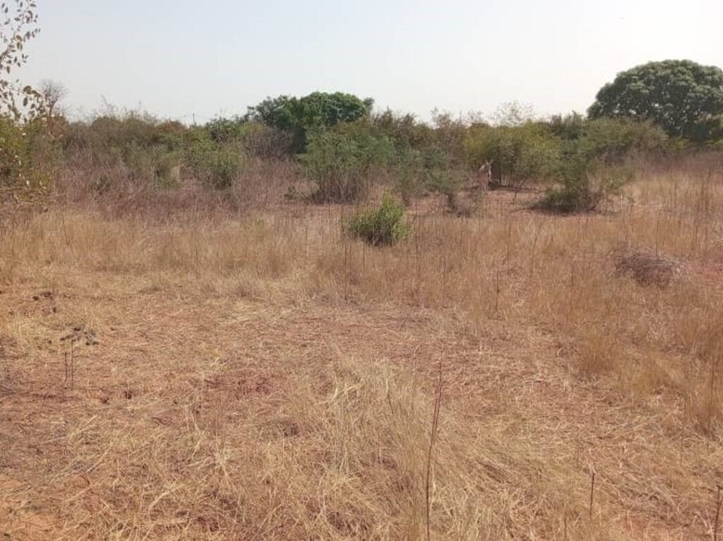 Terrain agricole de 5000 m² vers Pout – Thiès