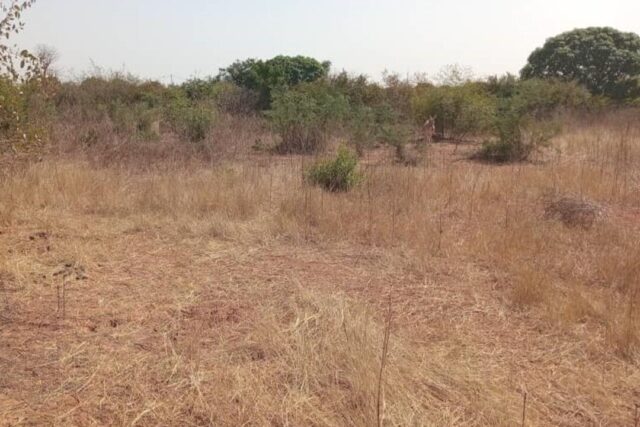 Terrain agricole de 5000 m² vers Pout – Thiès