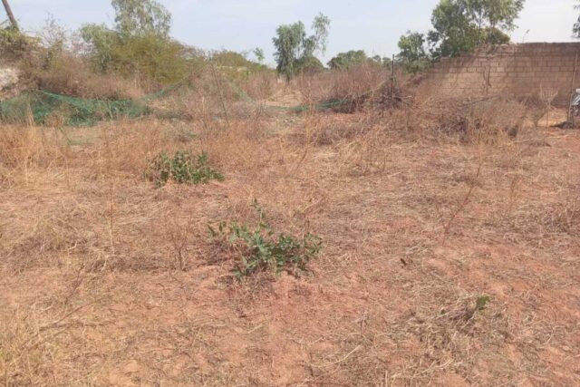 Verger de 5.000 m² vers Keur Moussa – Thiès