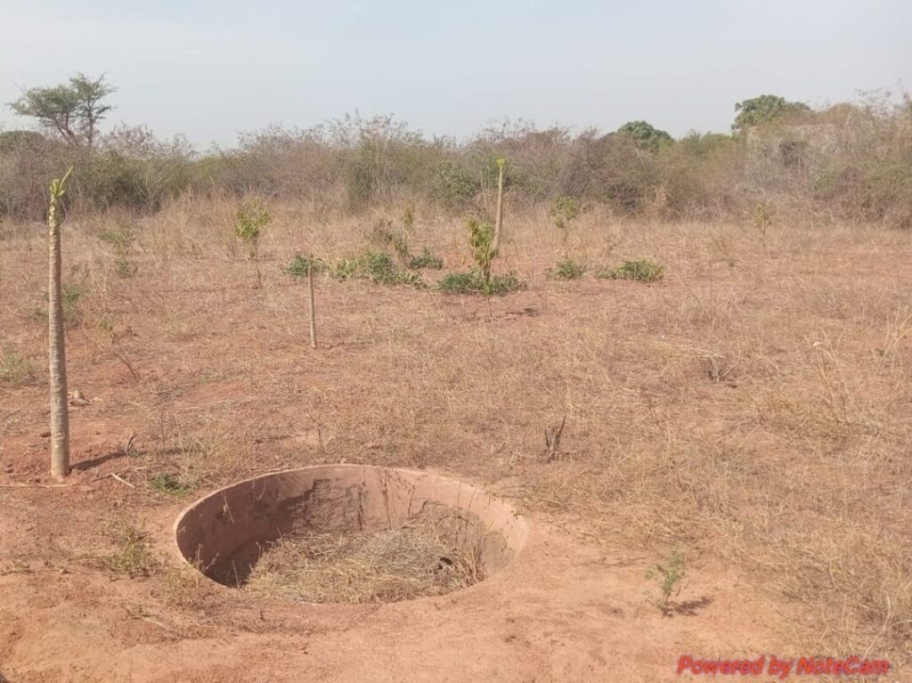 Verger de 5.000 m² vers Keur Moussa – Thiès