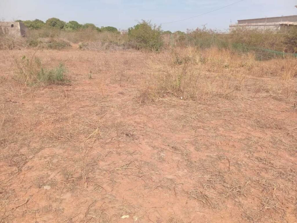 Verger de 5.000 m² vers Keur Moussa – Thiès