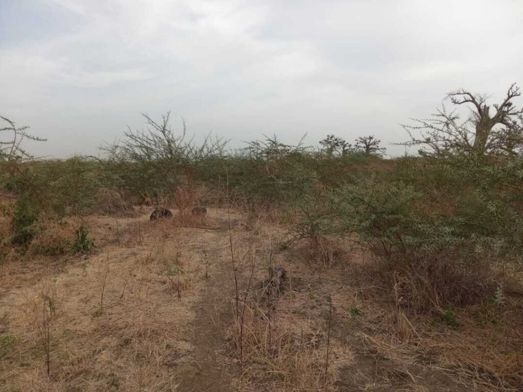 Terrain agricole de 2 Hectares vers Sindia – Mbour