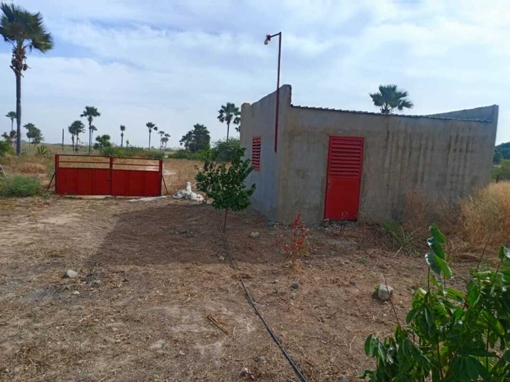 Verger de 2 hectares vers Fandéne – Thiès