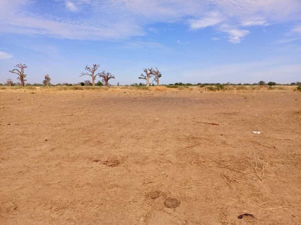 Terrain Agricole de 3,99 Hectares vers Tassette – Thiès