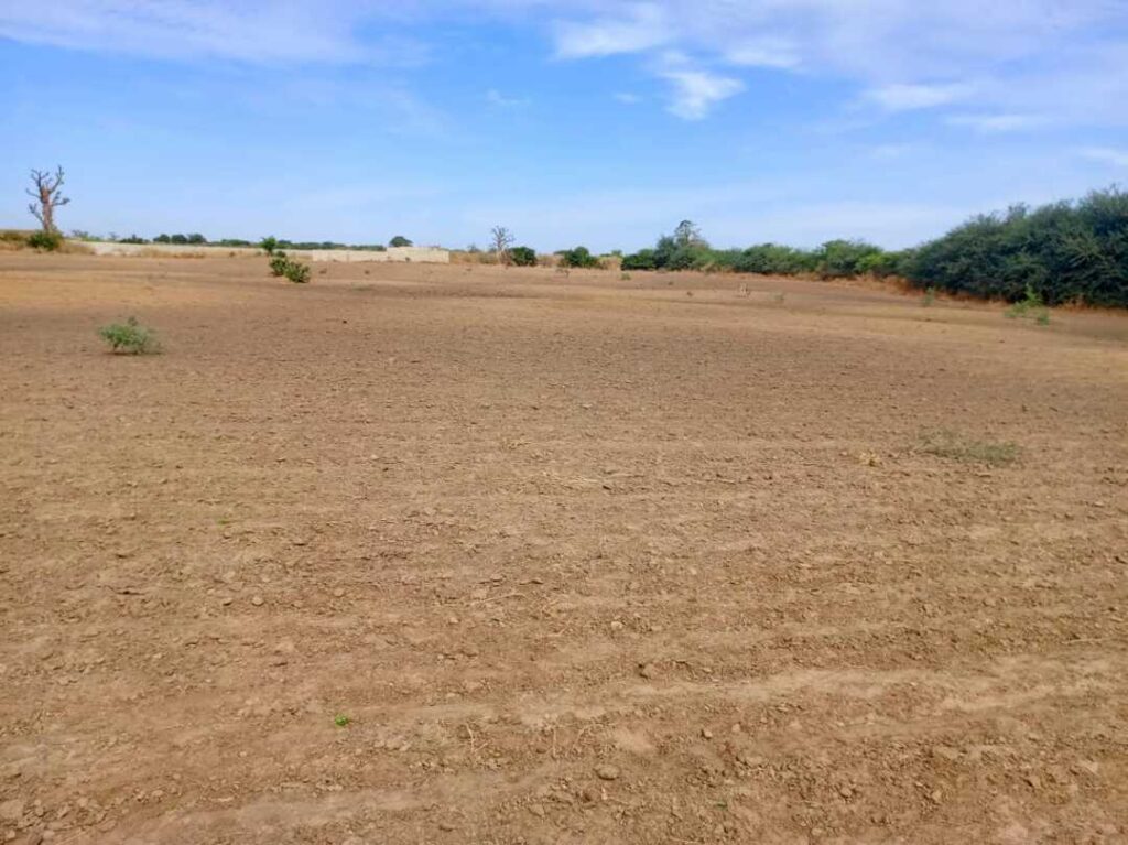 Terrain Agricole de 3,99 Hectares vers Tassette – Thiès