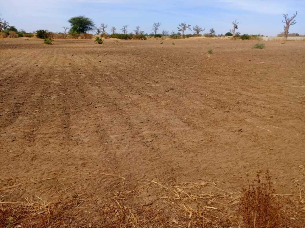 Terrain Agricole de 3,99 Hectares vers Tassette – Thiès