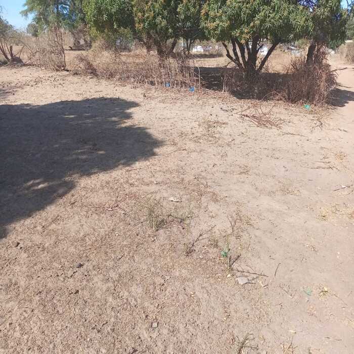 Terrain agricole de 7500 m² vers Notto Diobass – Thiés