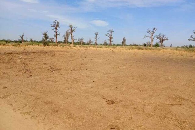 Terrain agricole de 3 Hectares vers Nguékhokh – Mbour