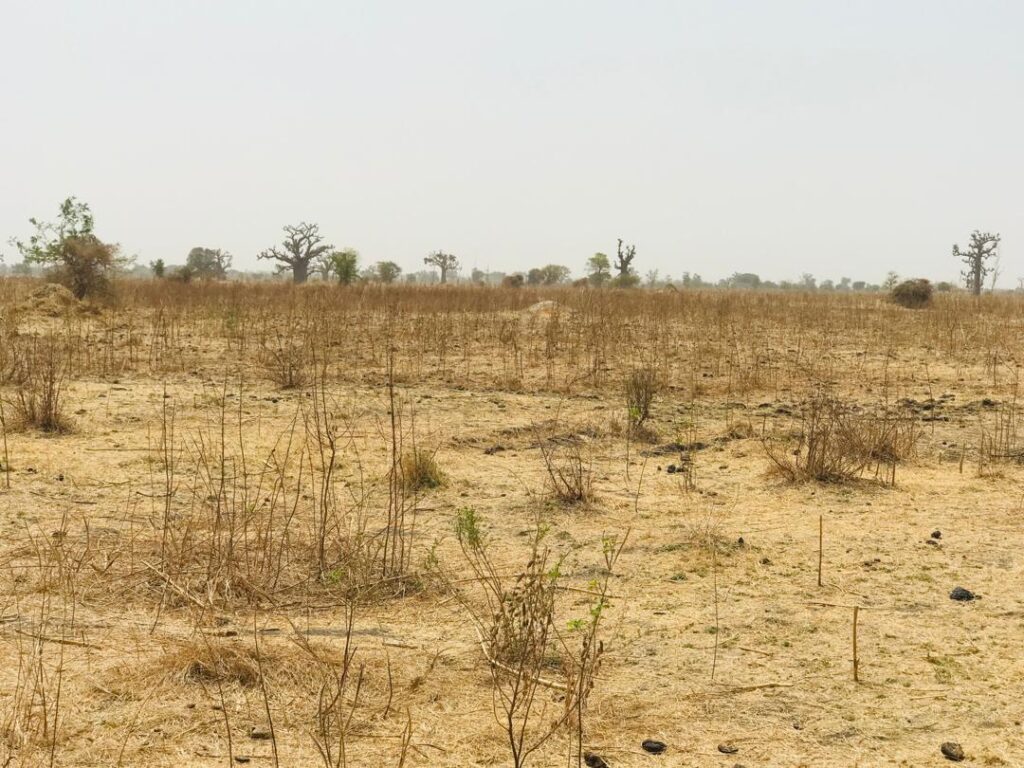 Terrain Agricole se 1,41 Hectare vers Nguéniéne – Mbour