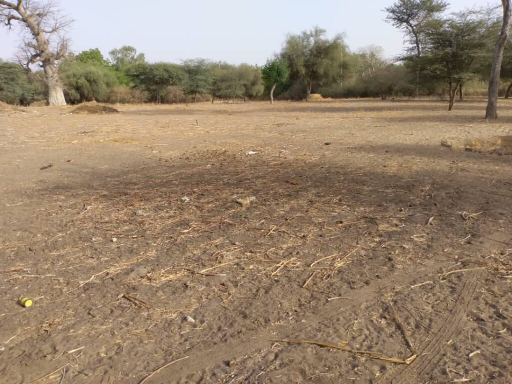 Verger de 1,03 hectare vers Keur Cheikh Ibra Fall – Diourbel