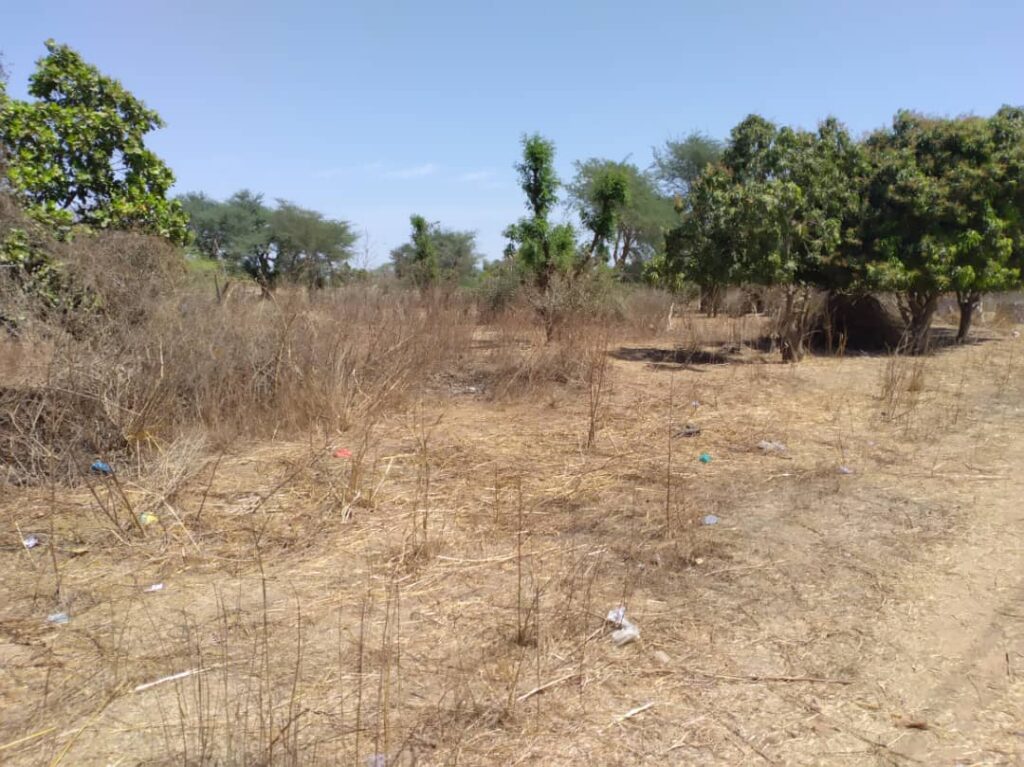 Verger de 8 814 m² vers Sandiara – Mbour