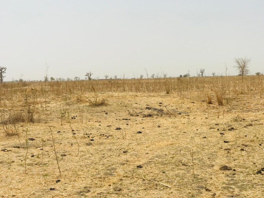 Terrain Agricole se 1,41 Hectare vers Nguéniéne – Mbour