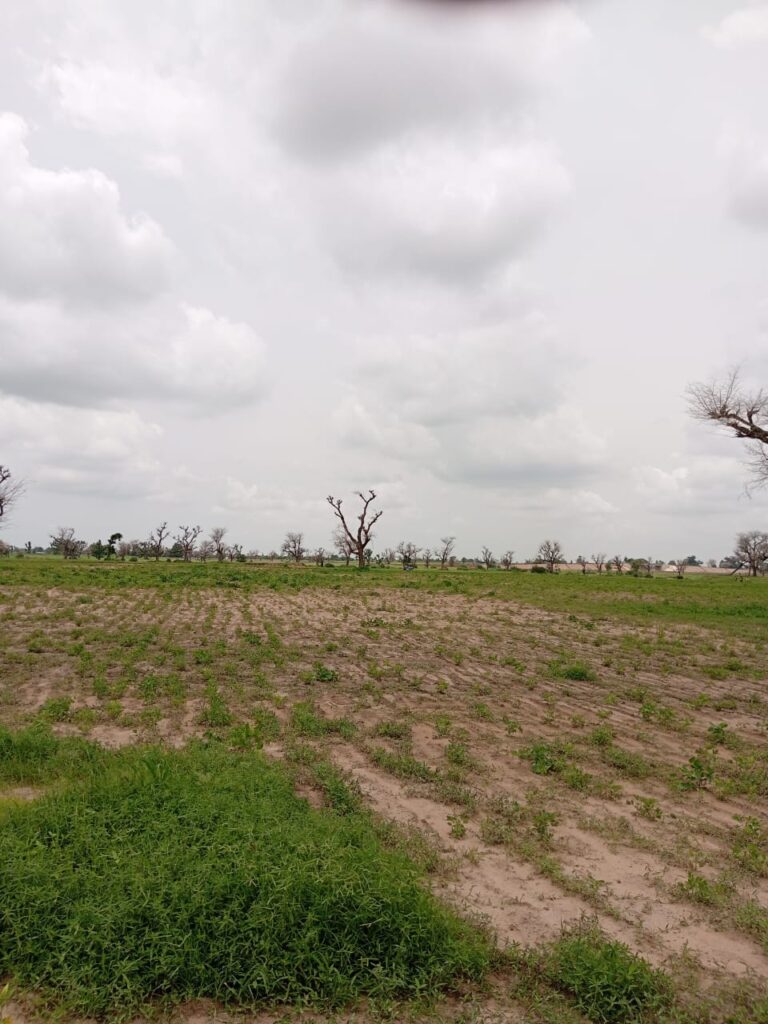 Terrain Agricole de 2 Hectares vers Sandiara – Mbour
