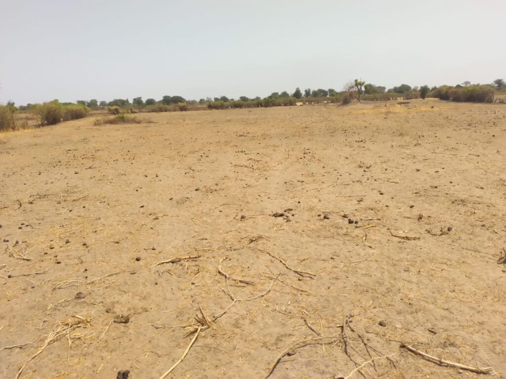 Verger de 9882 m² vers Sandiara – Mbour