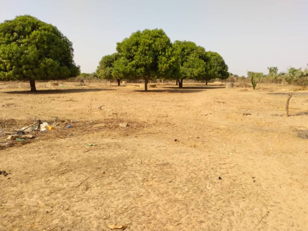 Verger de 7055 m² vers Tataguine – Fatick