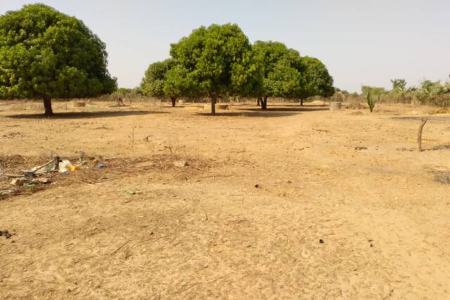 Verger de 7055 m² vers Tataguine – Fatick