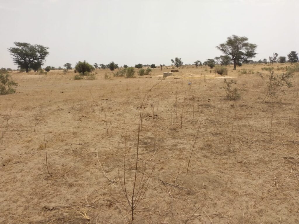 Verger de 8 027 m² vers Patar– Fatick