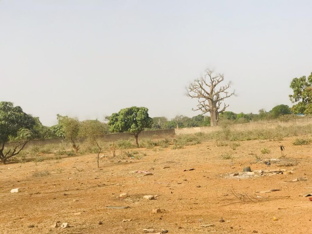 Verger de 1,79 hectare vers Pout – Thiès