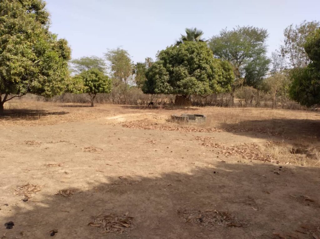 Verger de 3 160 m² vers Tataguine – Fatick