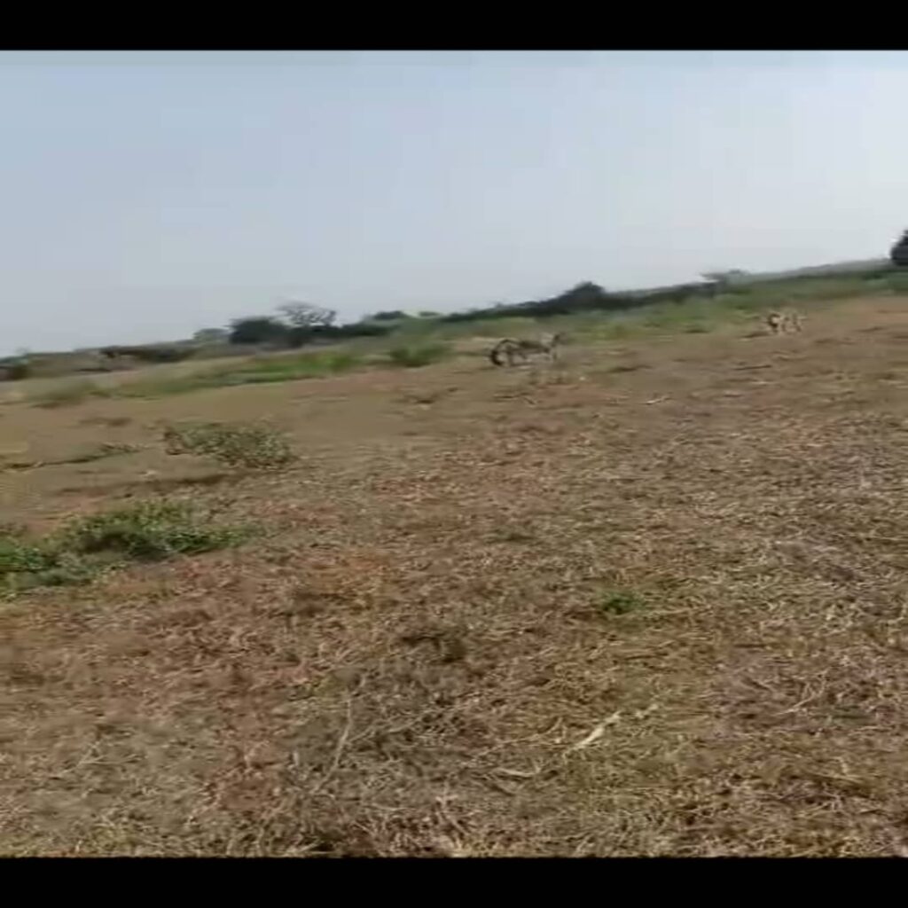 Verger de 3,20 Hectares vers Keur Moussa – Thiès