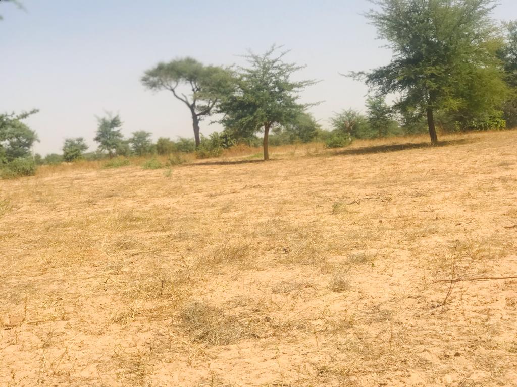 Verger de 1,86 hectare vers Tassette – Thiès