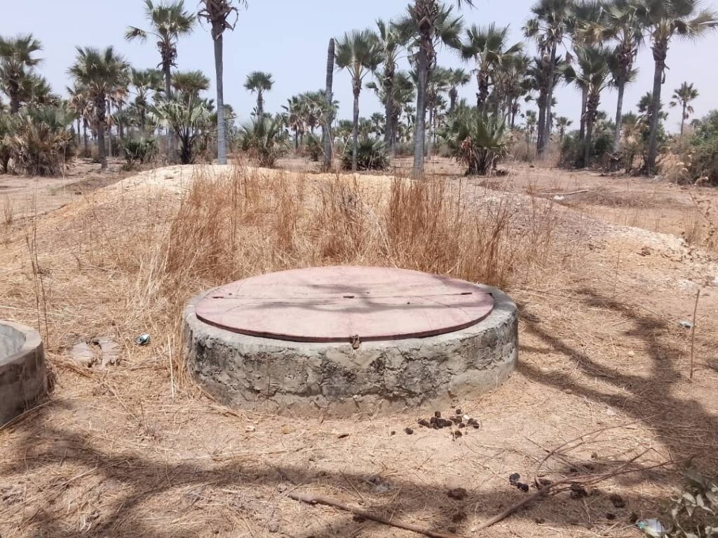 Verger de 3,31 Hectares vers Fandéne– Thiès