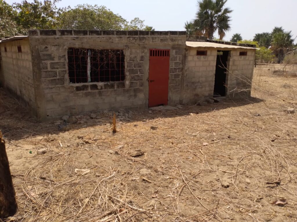 Verger de 3 Hectares vers Tataguine – Fatick