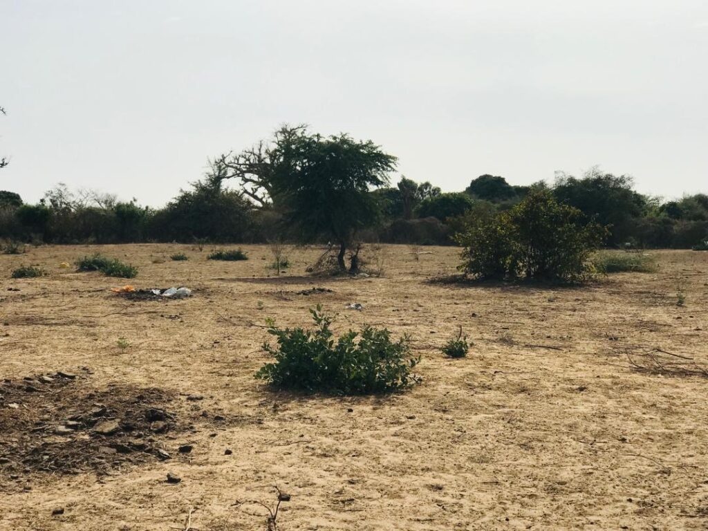 Terrain agricole de 3,02 hectares vers Sindia – Mbour