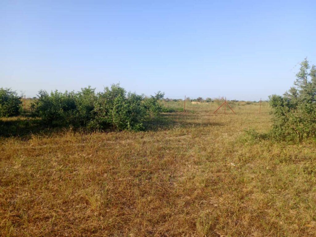 Terrain Agricole de 20 Hectares vers Tassette – Thies