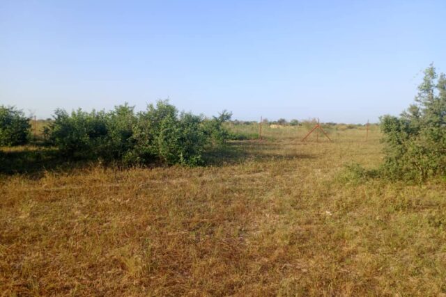 Terrain Agricole de 20 Hectares vers Tassette – Thies