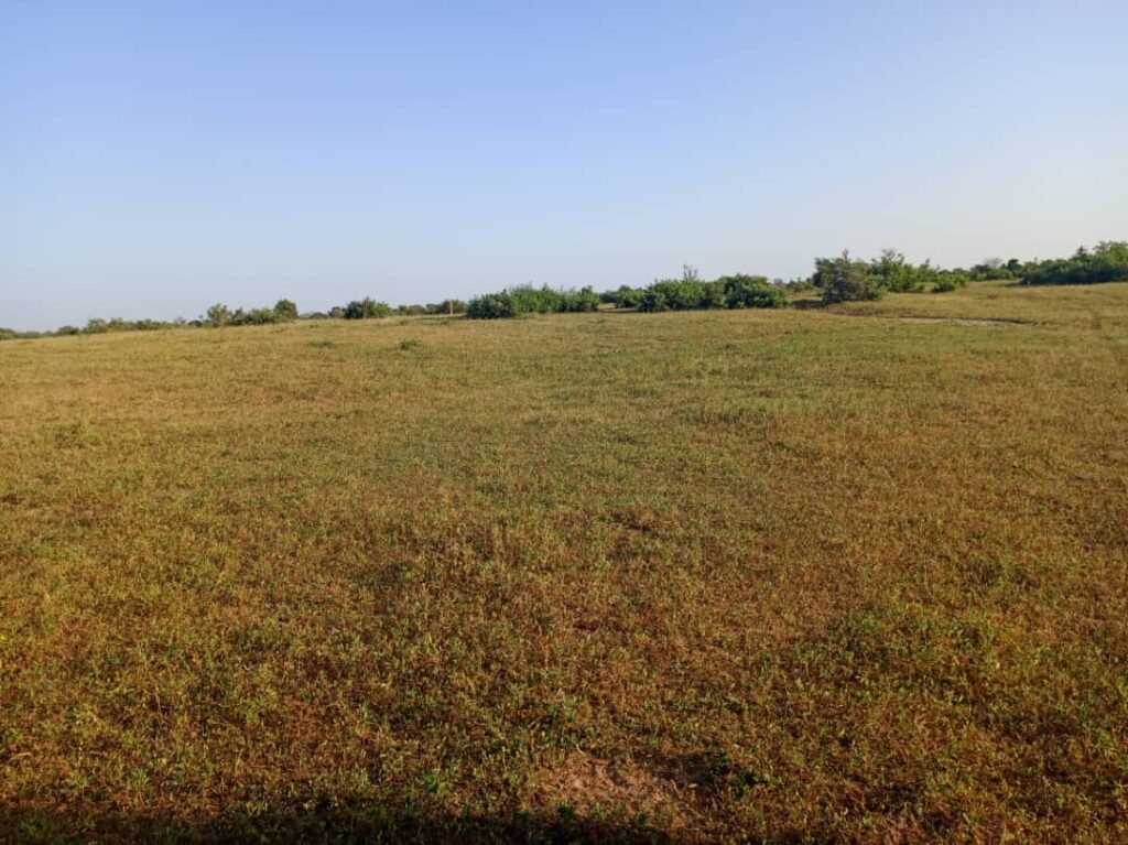 Terrain Agricole de 20 Hectares vers Tassette – Thies