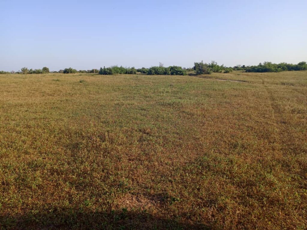 Terrain Agricole de 20 Hectares vers Tassette – Thies