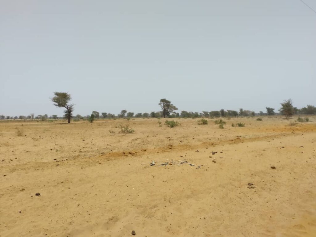 Terrain Agricole de 5 Hectares vers Sindia – Mbour