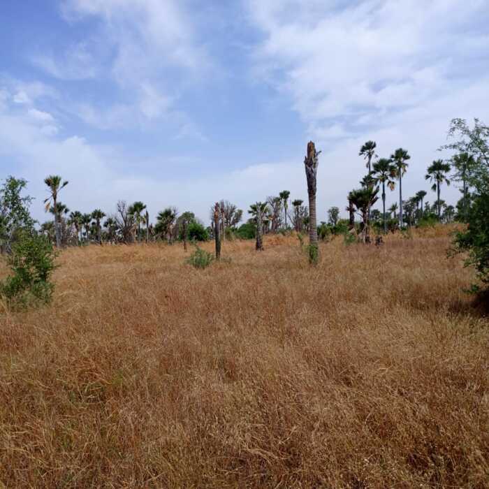Terrain agricole de 1,02 Hectare vers Fadéne-Thiès