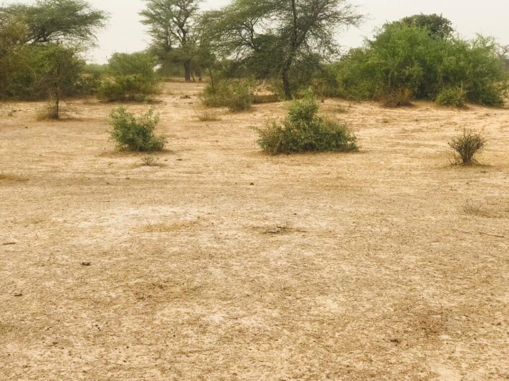 Terrain Agricole de 9,25 Hectares vers Keur Samba Kane – Bambay