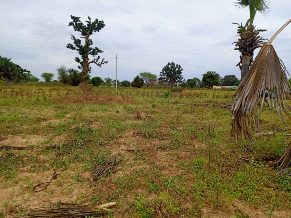 Terrain Agricole de 2,77 Hectares vers Tassette – Thiès