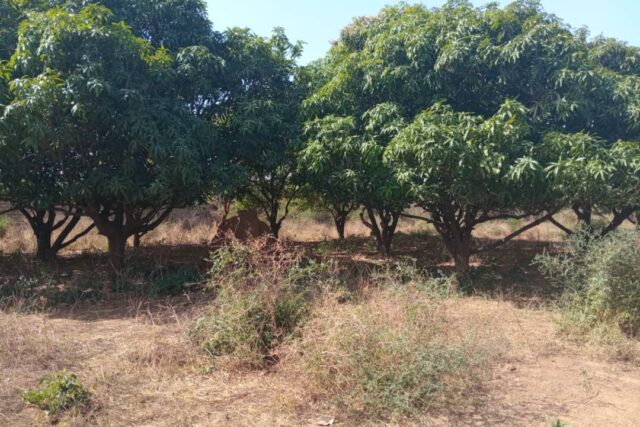 Lot de 12 parcelles en bordure de la route Fandéne – Thiès