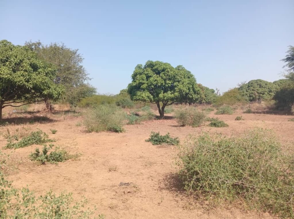 Lot de 12 parcelles en bordure de la route Fandéne – Thiès