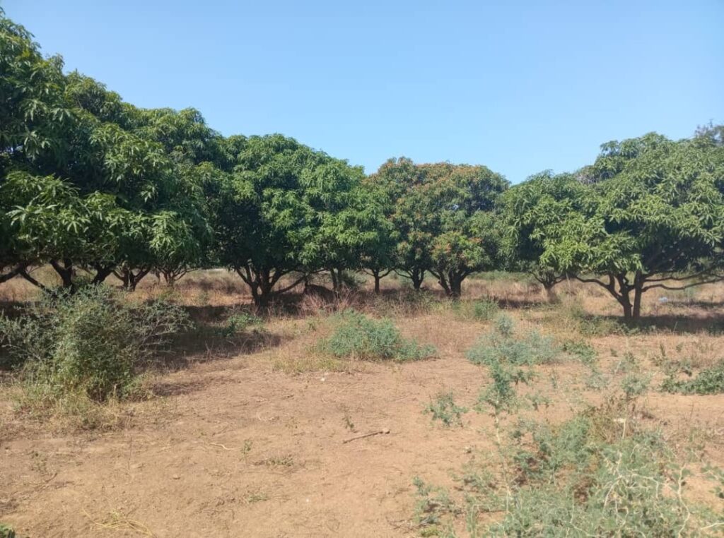 Lot de 12 parcelles en bordure de la route Fandéne – Thiès