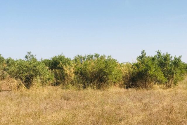 Terrain Industriel de 2 Hectares vers Fandéne – Thiès