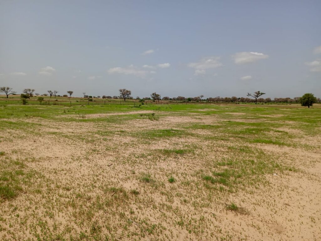 Terrain Agricole de 1,69 Hectare vers Tassette – Thiès