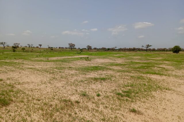 Terrain Agricole de 1,69 Hectare vers Tassette – Thiès