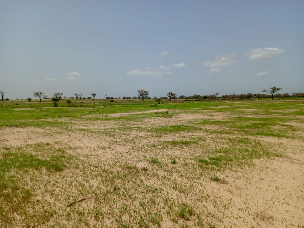 Terrain Agricole de 1,69 Hectare vers Tassette – Thiès